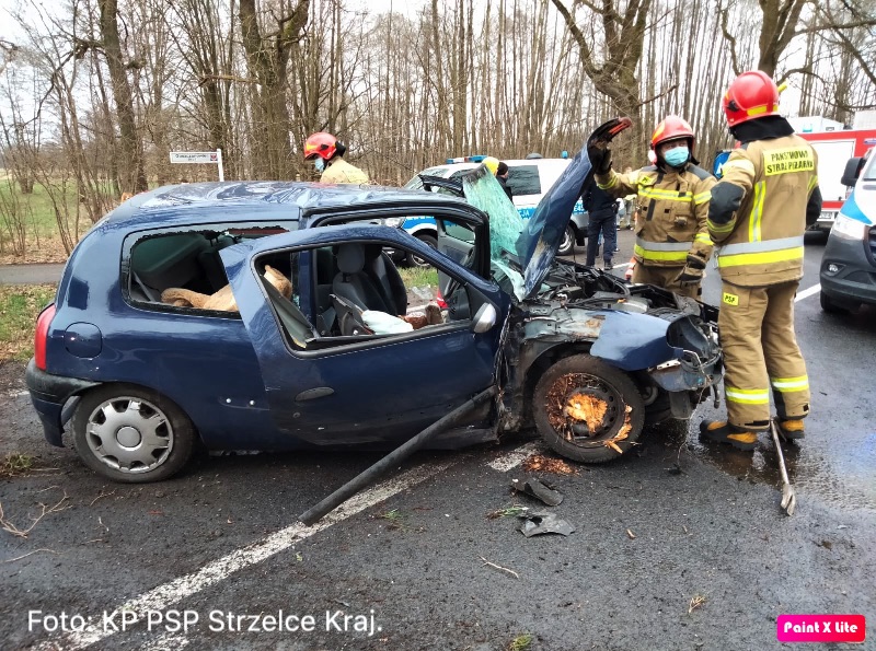Wypadek w Goszczanowcu. Samochód osobowy uderzył w drzewo | FOTO