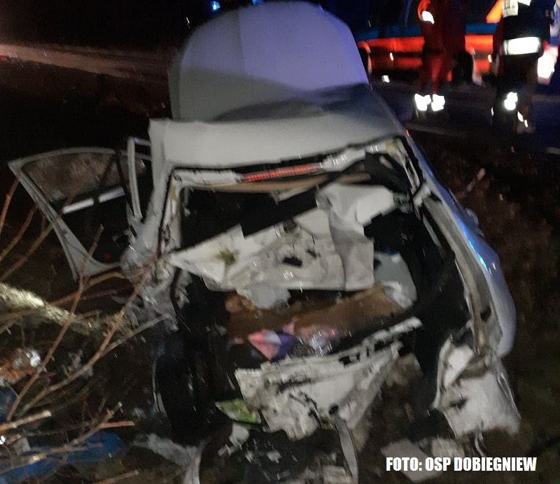 Wypadek na DK 22 w okolicach Rolewic. Dzik doprowadził do wypadku...| FOTO