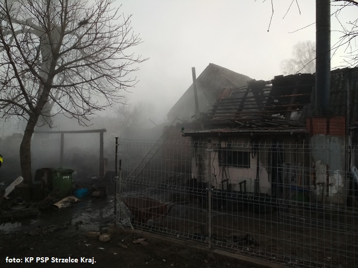 Groźny pożar zabudowań gospodarczych w Przynotecku [FOTO]