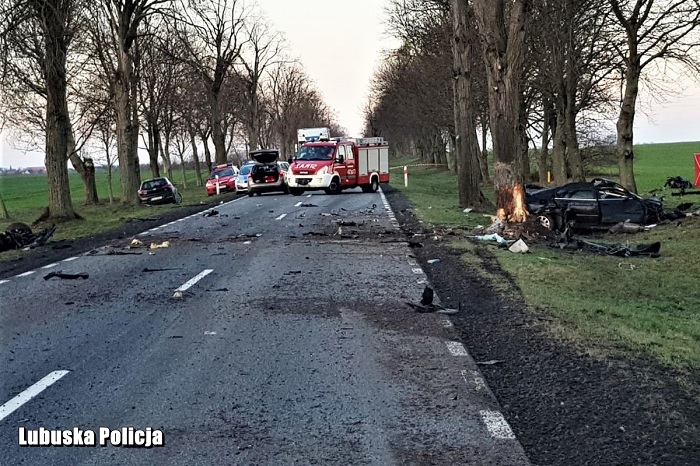 Śmiertelny wypadek na DK 22 w m.Licheń koło Strzelec Kraj.! BMW uderzyła w drzewo [FOTO]