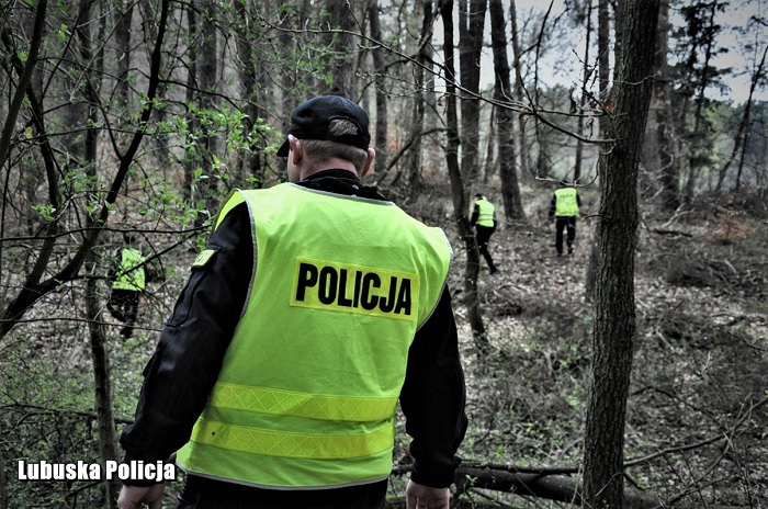 Zaginięcie 75-latki w lesie niedaleko Dobiegniewa - znalazł ją grzybiarz